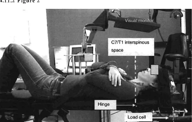 Fig.  2 Dynamometric device and  position of the subject in supine lying. 