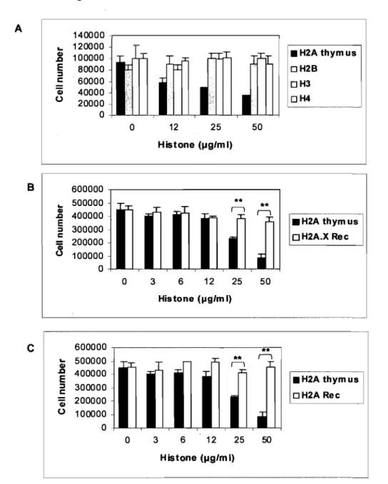 Figure 3.  (A)  Effect of the core histones H2A, H2B, H3  and H4 extracted from  calf thymus on MCF-7 cell proliferation