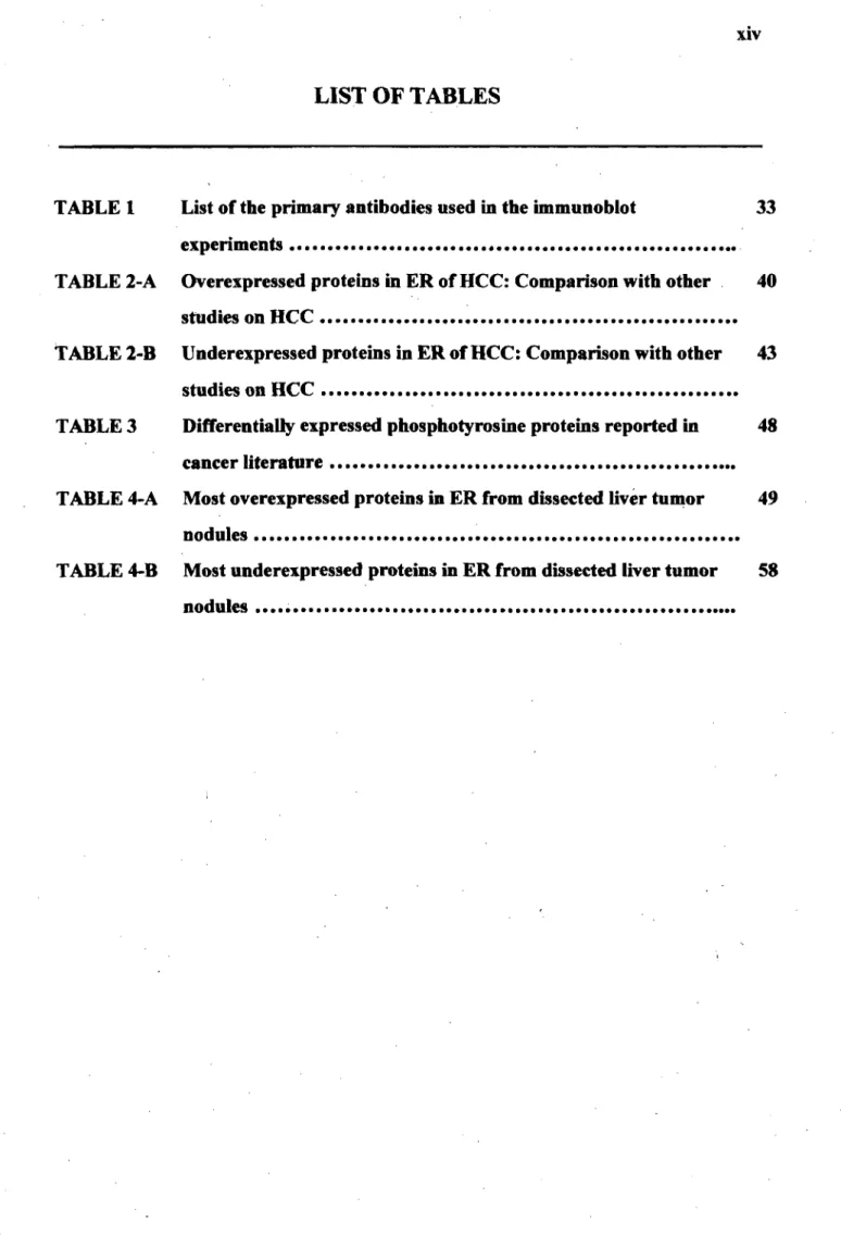 TABLE 1  List of the primary antibodies used in the immunoblot  33 