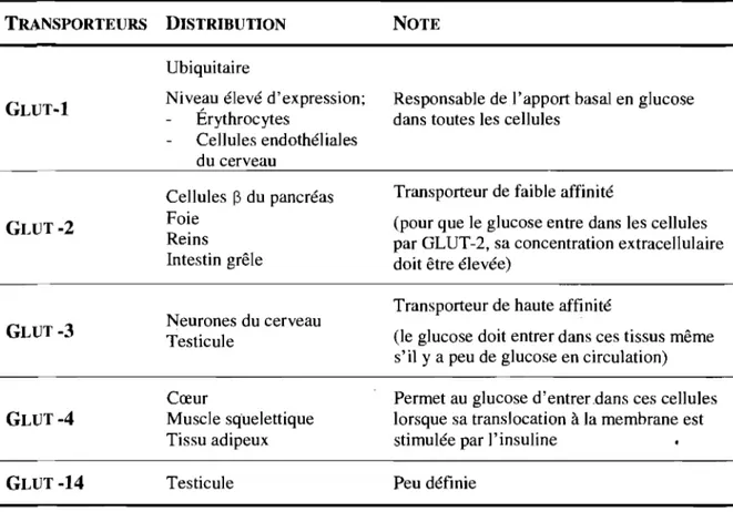 Tableau III. Caractéristiques de la première sous·famille des transporteurs GLUT. 