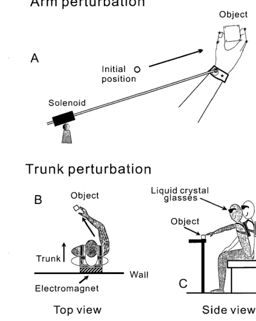 Fig.  2.  Perturbations  of reach-to-grasp  movements  made  within  (A)  and  beyond (B,  C)  reach of the arm