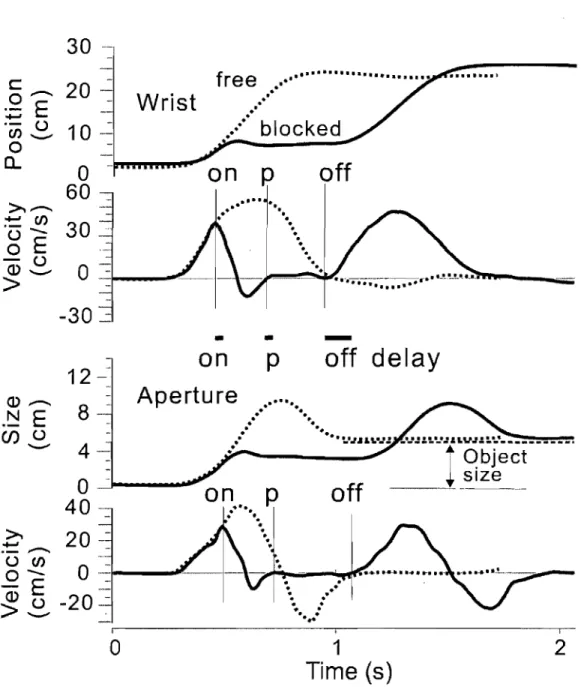 Fig.  3.  An  example  of aperture  reactions  ta  wrist  arrest  in  experiment  1. 