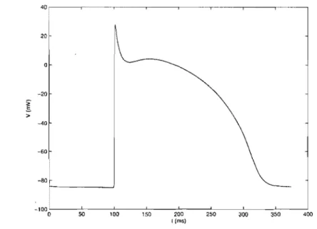 Figure  l.1:  Schematic diagra.m  of  transmembrane  action potential for  ventricular  ceil