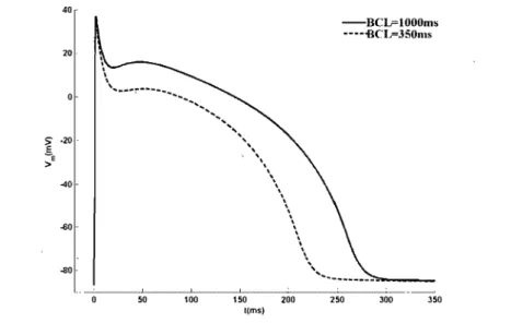 Figure 1.3:  The action potential duration is  also a  function of prematurity, This graph shows  the stable entrainment  response of the model  to 40  muA/cm 2 ms square  pulses of current  of  1 ms duration  applied  at  two  different  basic  cycle  len