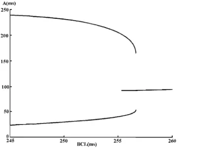 Figure  1.9:  The finite  difference  model  reproduces  the  bifurcation of the  AI BR  model