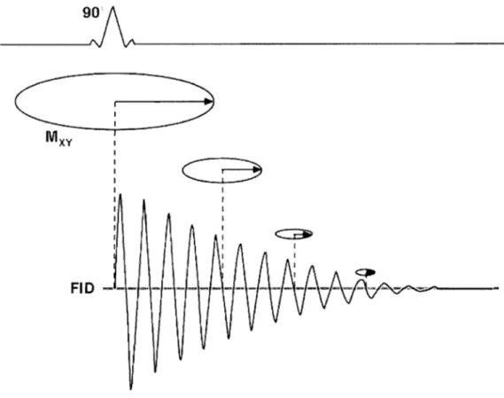 Figure  16  : Le  signal  de  précession  libre  (Free  Induction  Decay)  est  une  onde  sinusoïdale  s'estompant avec  le  temps selon une courbe exponentielle régie par  T/,  le  temps de  relaxa-tion  spin-spin  plus  l'effet de  l'inhomogénéité du  c