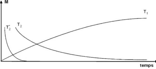 Figure  17  : Constantes de relaxation longitudinales  (TI)  et transversales  (T 2),  les  deux  solu-