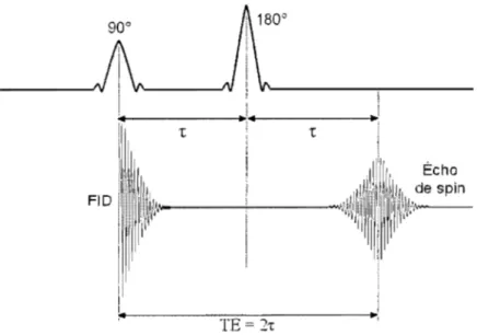 Figure  18  :  La  séquence  spin-écho.  Une  impulsion  initiale  de  90  degrés  génère  une  FID