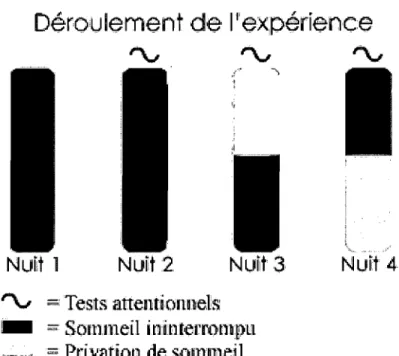 Figure  3:  Schéma  du  protocole  expérimental  pour  un  sujet privé de sommeil lors de la première moitié de la nuit  3 et lors de la deuxième moitié de la nuit 4