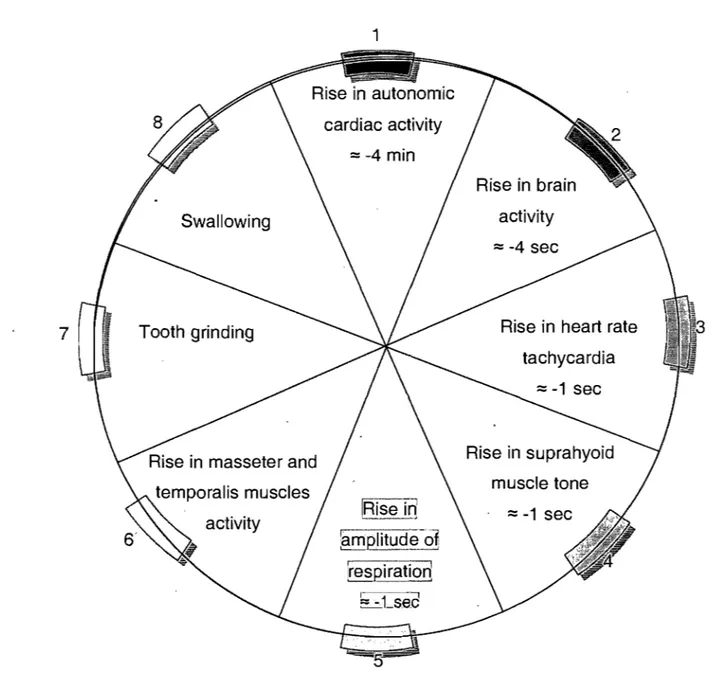 Figure  1:  Séquence  d'évènements  physiologiques  au  cours  d'un  épisode  de  bruxisme