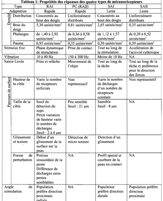 Tableau  1:  Propriétés des réponses des quatre types de mécanorécepteurs 