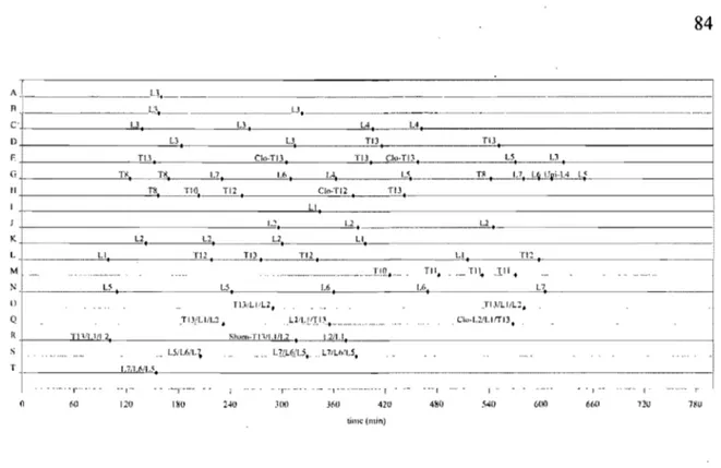 Figure 2.  Sequential  injections  of yohimbine  in  the  various  cats.  For each cat represented  by a letter on the vertical axis, the sequence and the spinallevel of injection of yohimbine is  indicated relative to the time following  decerebration on 