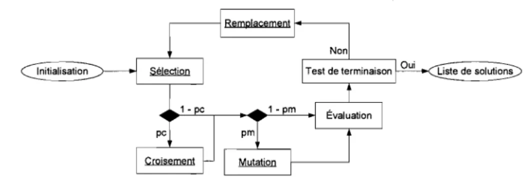 Figure  6.1:  Représentation  schématique  d'un  algorithme  génétique. 