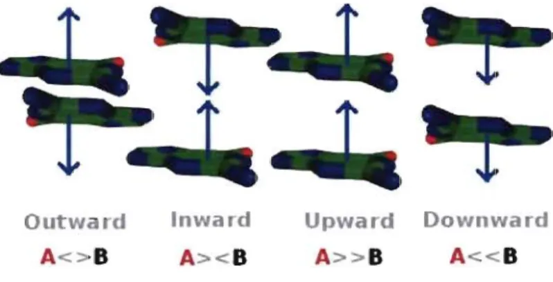 Figure  5  :  Les  quatre  types  d'empilements  de  bases.  Le  vecteur  normal  (en  bleu)  de  chaque  base 