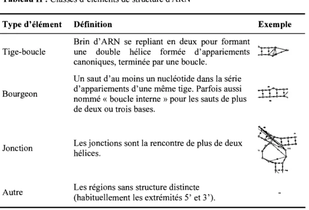 Tableau II:  Classes d'éléments de  structure d'ARN 