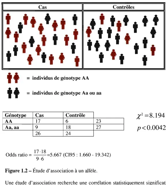 Figure  1.2 - Étude d'association à un  allèle. 