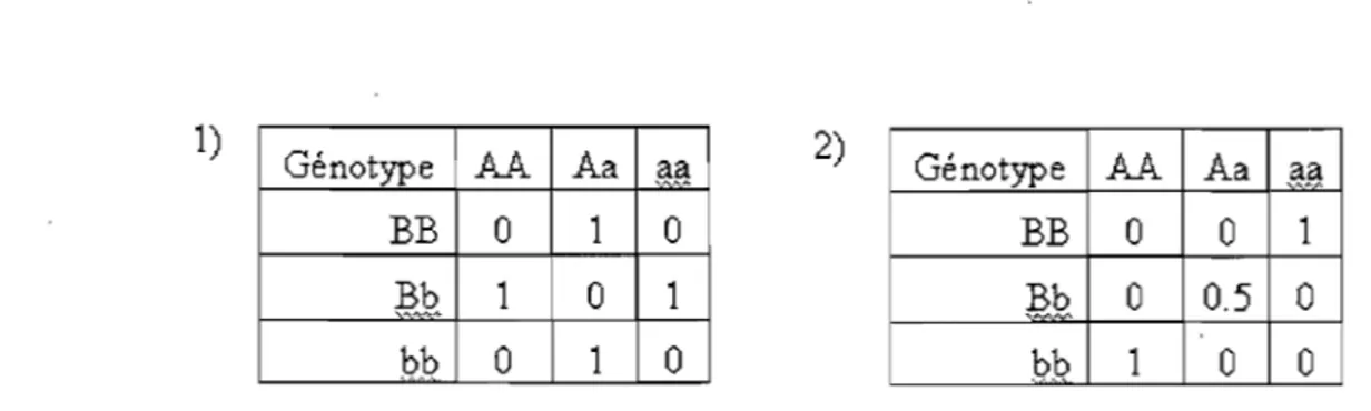 Figure  1.5 - Modèle  d'interaction non  linéaire (tableau de  pénétrance),  1) interaction de type  «  ou  »  exclusif2) interaction de type  «  deux allèles  à risque »