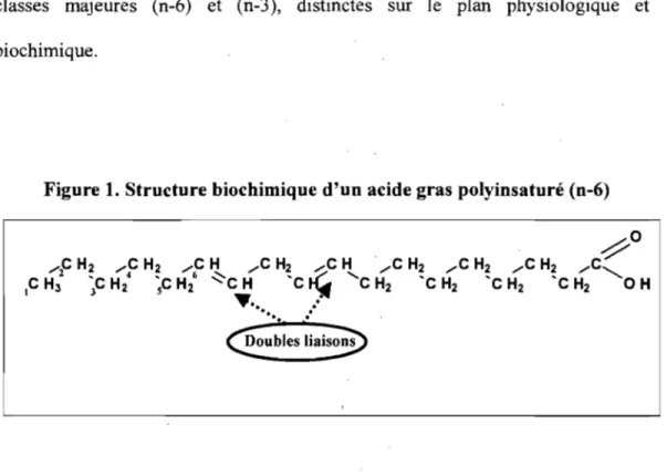 Figure 1. Structure biochimique d'un acide gras polyinsaturé (n-6) 
