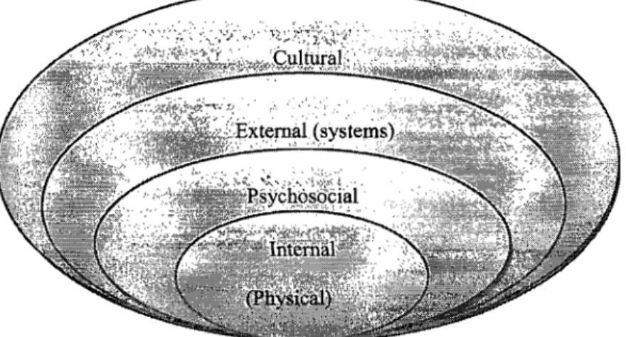 Figure  1:  The diabetes compliance barriers (adapted from  Glasgow  et al.,  2001)  The internaI  or physical  barriers,  those that  are  rooted  in one's own disabilities  such  as  implications  of dialysis,  reduced  or  absent  visual  capacity have 