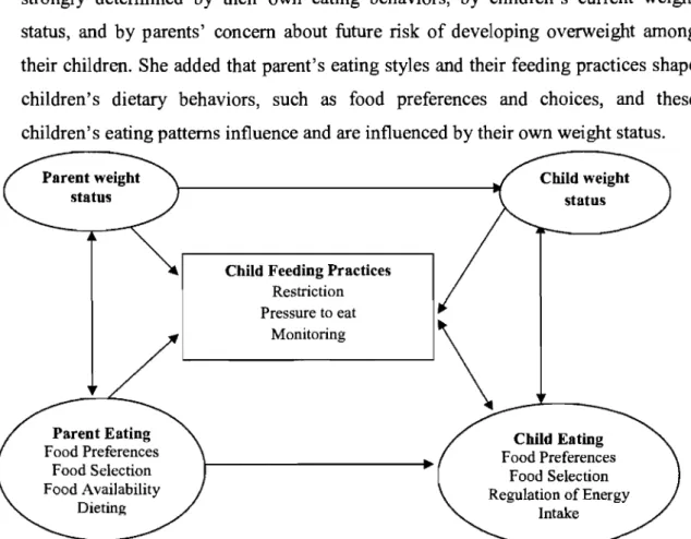 Figure  4:  Familial  Factors  influencing  Parents'  Feeding  Practices  (adapted  from  Birch et aL,  2001) 