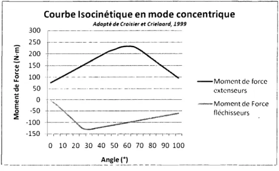 Figure 7:  Courbe isocinétique normale en mode concentrique 
