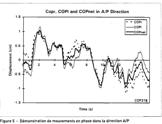 Figure 5  - Démonstration de  mouvements en  phase dans la direction AfP  Référence: (Winter, 19951  E  (,J  ë  III  E  III  (,J  0.5 