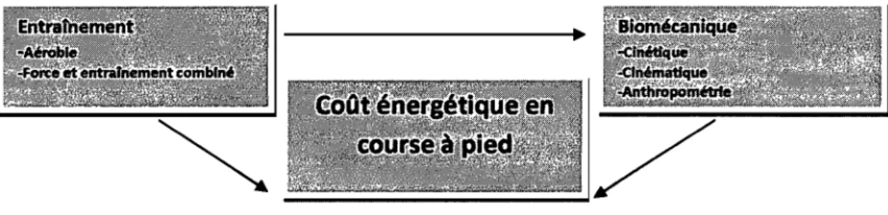 Figure 6 - Déterminants du  coût énergétique 