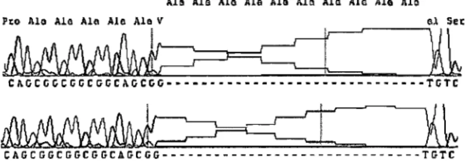 Figure  2: Sequence results showing an in frame 30 bp deletion in the affected offspring  and the unaffected father resulting in a  15-5  deletion of 10 alanine residues
