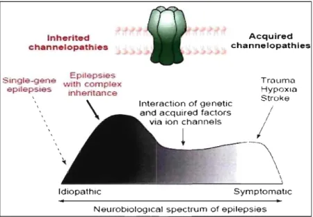 Figure 1 : Spectre neurobiologique des types d'épilepsies et héritabilité proposée.  Tirée de  Berkovic SF et al