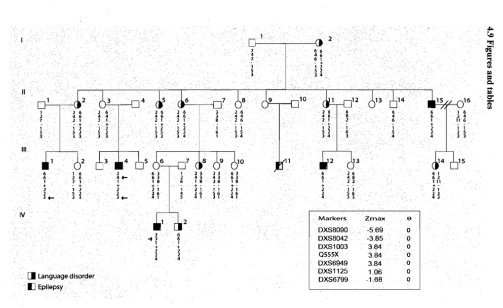 Figure 3: A large French-Canadian family with X-Iinked dyslexia. 