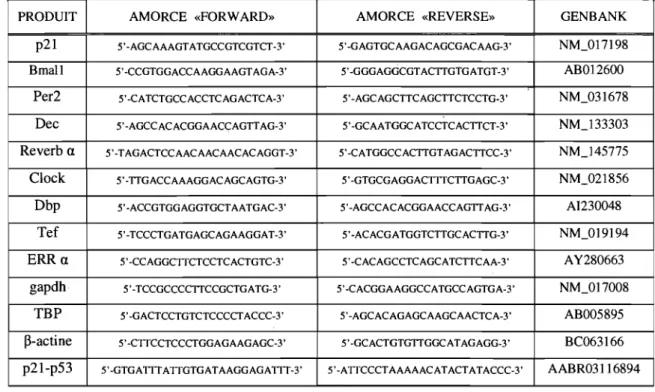 Tableau 1 : Amorces utilisées pour les différentes réactions PCR. 