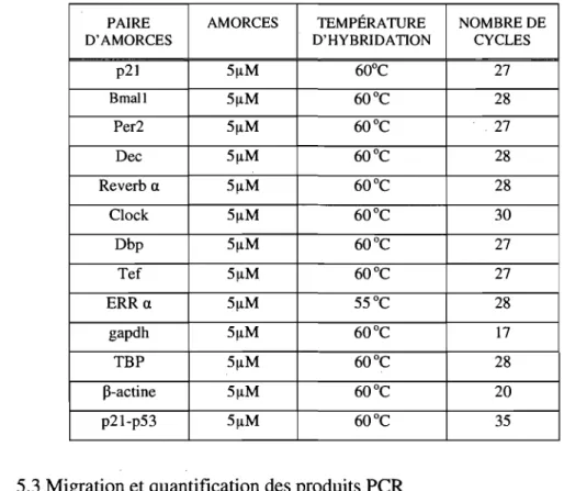 Tableau  II:  Paramètres des amplifications  peR  selon les différentes amorces. 