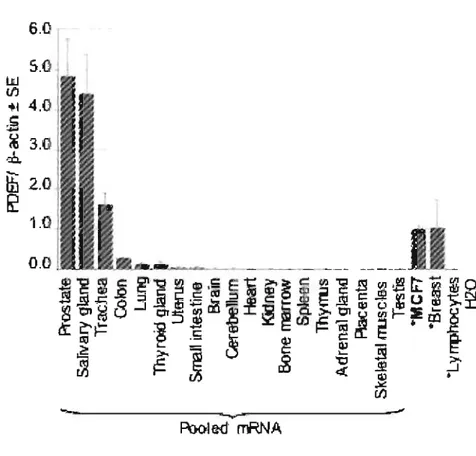 Figure 2 m  PDEF expression in normal tissues. 