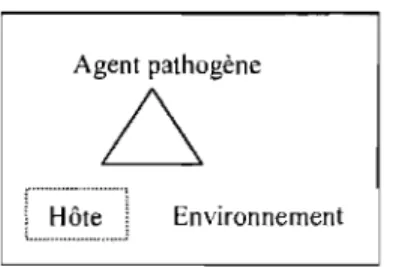 Figure 2 : Triade épidémiologique de causalité - l'hôte 