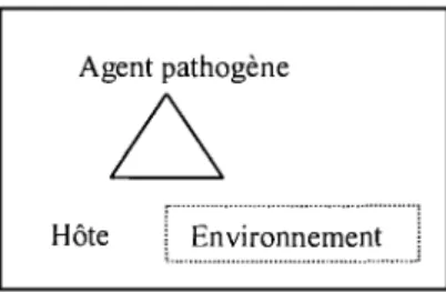 Figure 3 : Triade épidémiologique de  causalité - les facteurs  environnementaux 