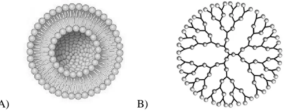 Figure 16 - Nanoparticules organiques A) Liposome B)Dendrimère 