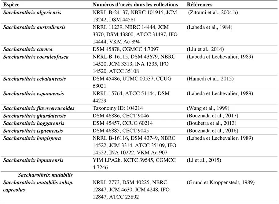 Tableau 1.1: Espèces du genre Saccharothrix, d'après le National Center for Biotechnology Information (NCBI, http://www.ncbi.nlm.nih.gov/Taxonomy)
