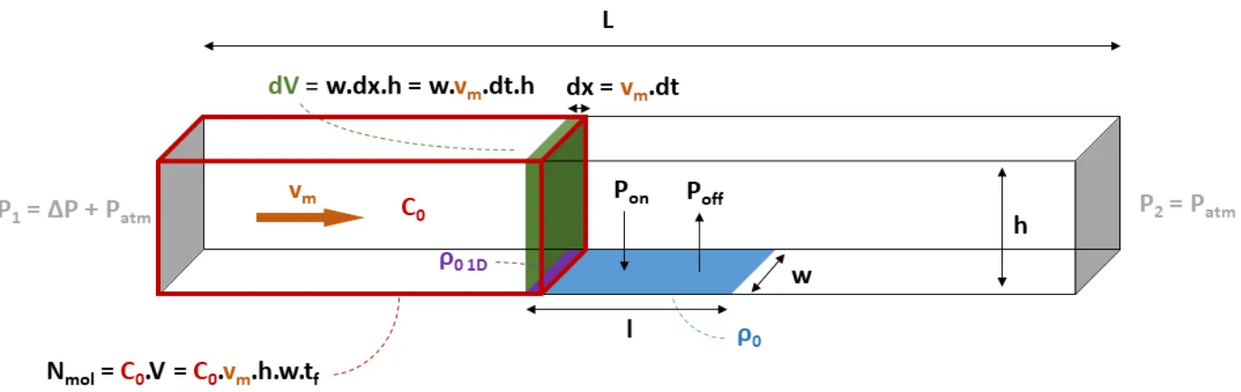 Figure	2-6	:	principe	du	modèle	1D	:	des	cibles	à	une	concentration	C 0 	dans	un	nanocanal	de	longueur	L,	hauteur	h	et	largeur	