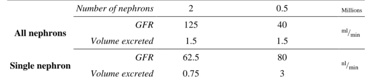 Table 4: Values of excretion of the overall nephrons and per nephron in renal failure