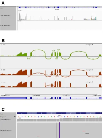 Figure 4: Visualization examples of a combined diagnostic test using RNA-seq to identify different types of nucleic 