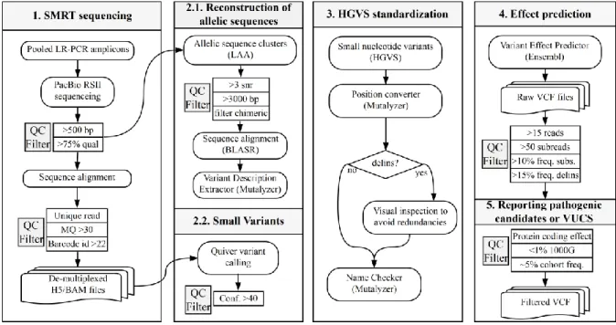 Figure 1: Flowchart of the applied analytical approach for the identification of potentially pathogenic variants  and VUCS in ADPKD patient samples