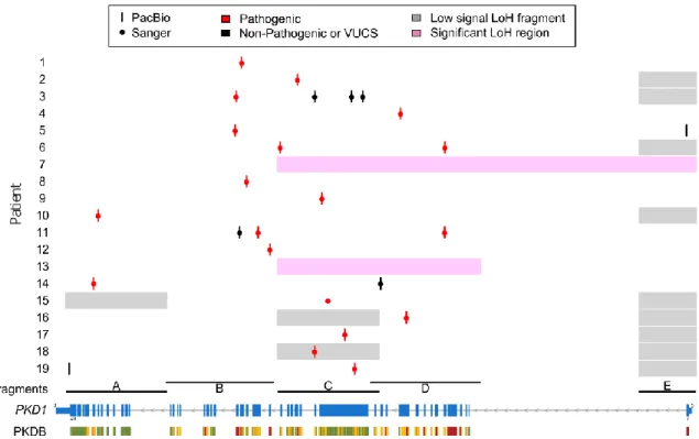 Figure  3:  Comparison  of  long-read  detected  pathogenic  variants  or  VUCS,  uniquely  identified  per  patient  (y  axis),  with  the  screening  results  for  the  PKD1  gene  locus  (x  axis;  NM_001009944.2)