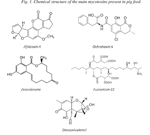 Fig. 1. Chemical structure of the main mycotoxins present in pig feed.  65 