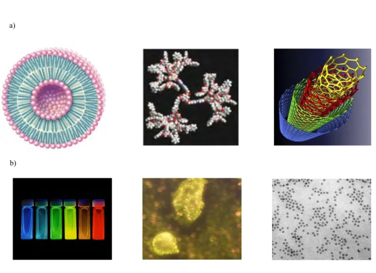 Figure 8: Exemples de nanoparticules utilisées pour des applications biomédicales 
