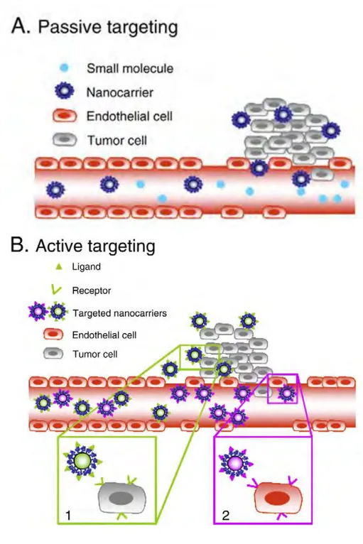 Figure 10 : Schéma d’adressage passif et actif de nanoparticules 