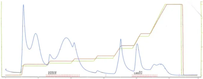 Figure 22 : Chromatogramme d’élution pour la purification sur HiTrap Q FF de 5 mL 