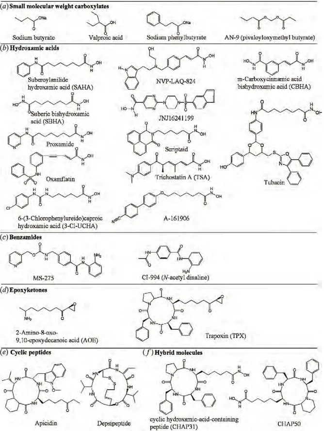Figure 10. Structural classes of HDAC inhibitors. Six basic classes of HDAC inhibitors are shown: a)  small-molecular-weight  carboxylates,  including  sodium  butyrate,  valproic  acid,  and  sodium  phenylbutyrate;  b)  hydroxamic  acids,  including  CBH