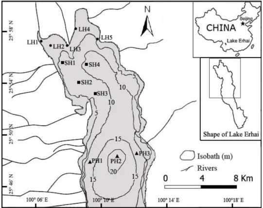 Fig. 1 Sampling sites in the three habitats located in the central and northern section of Lake Erhai 
