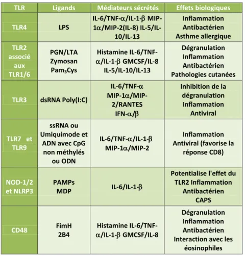 Tableau 2. L’activation des mastocytes par les PRR et ses conséquences fonctionnelles