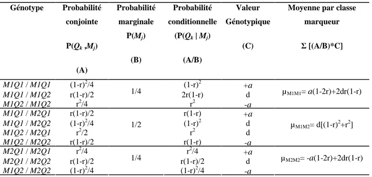 Tableau 2.1 Probabilités des génotypes chez des F2 pour un marqueur (M) et un QTL (Q)  Génotype  Probabilité  conjointe  P(Q k  ,M j )  (A)  Probabilité marginale P(Mj) (B)  Probabilité  conditionnelle (P(Qk | Mj) (A/B)  Valeur  Génotypique (C) 
